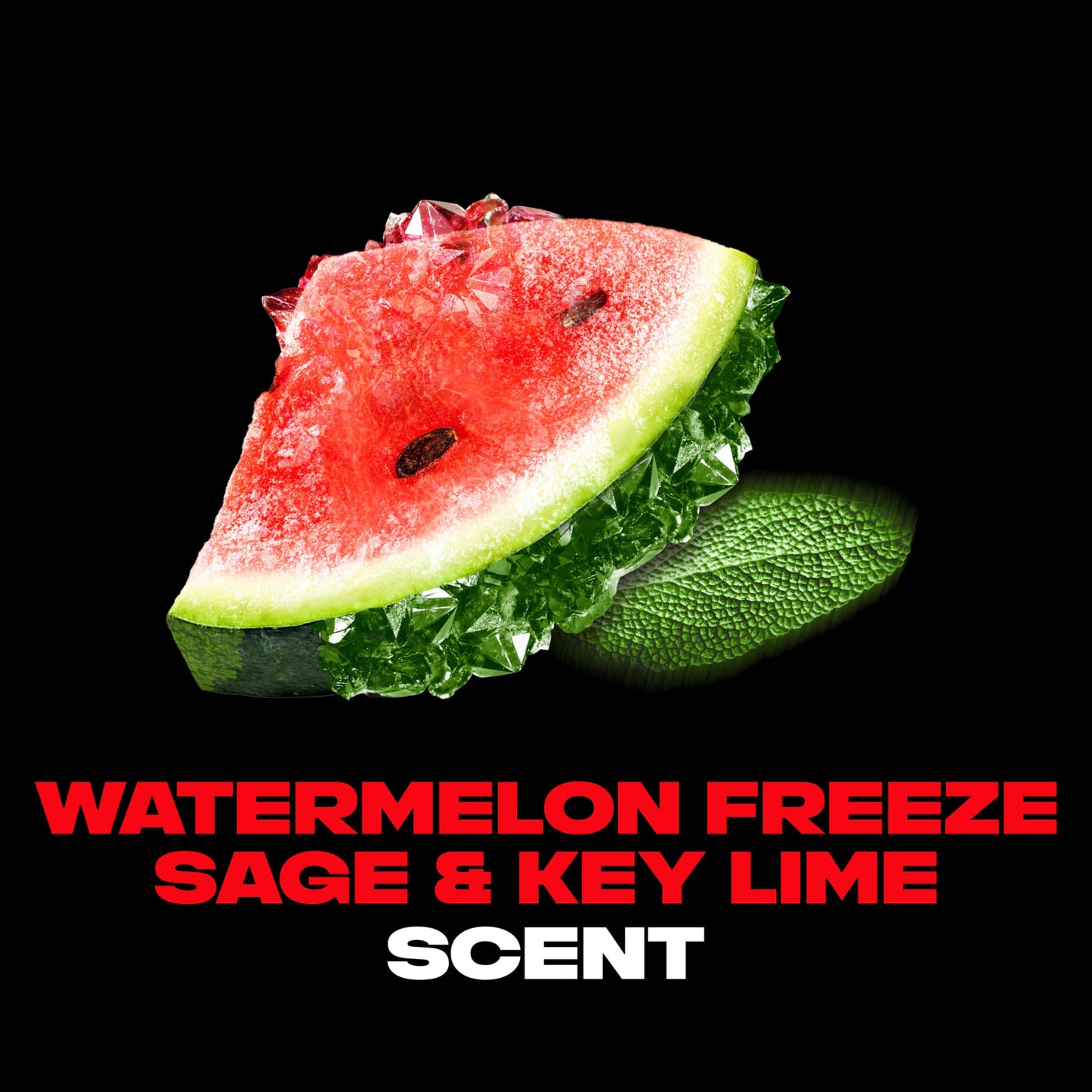 AXE Premium Deodorant, Watermelon Freeze, 3 oz (85 g) Beauty and Personal Care AXE