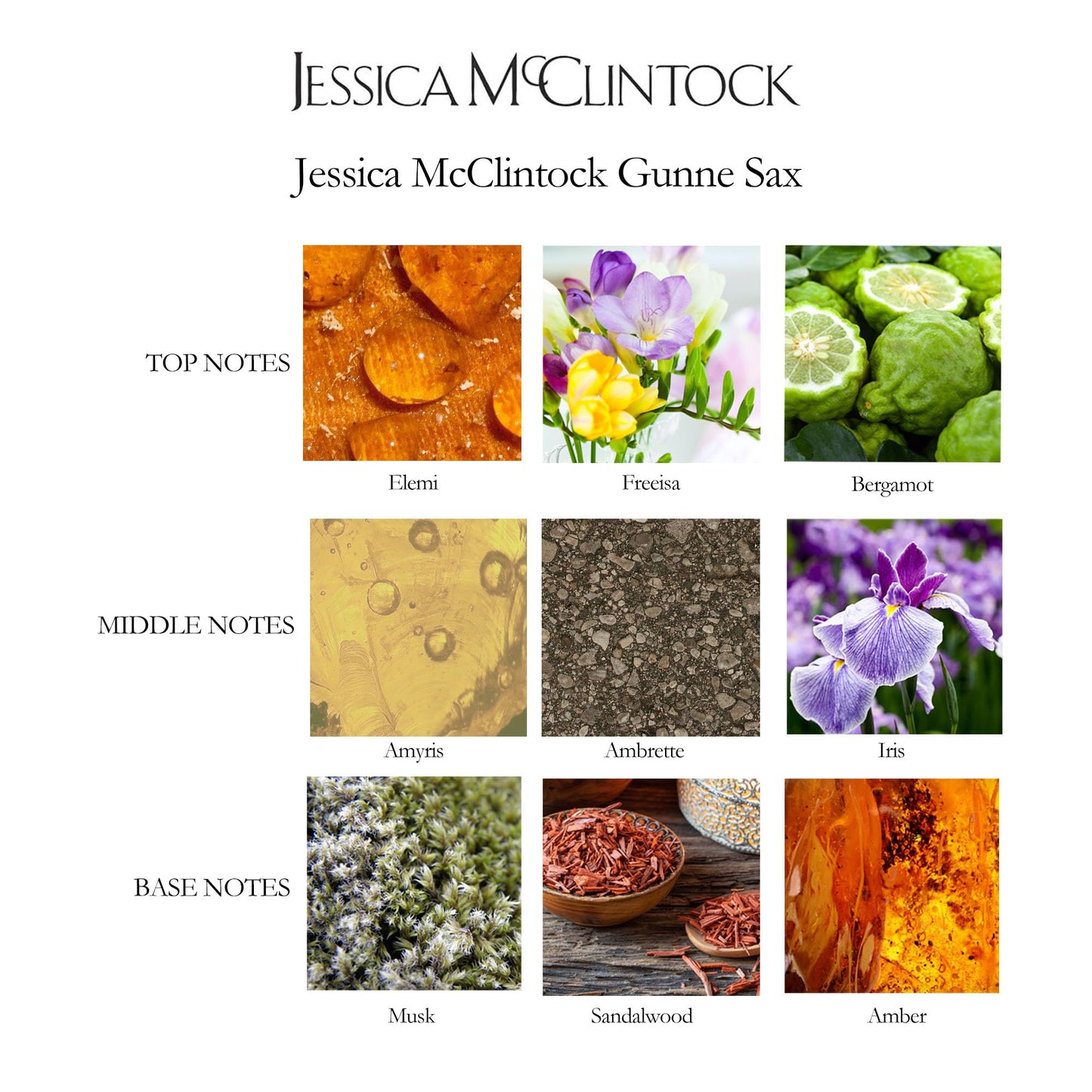 Jessica McClintock Gunne Sax Eau De Parfum Spray for Women, 3.4 oz - Warm Floral Fragrance with Bergamot, Freesia, Iris, Sandalwood & Musk Beauty & Personal Care Jessica McClintock