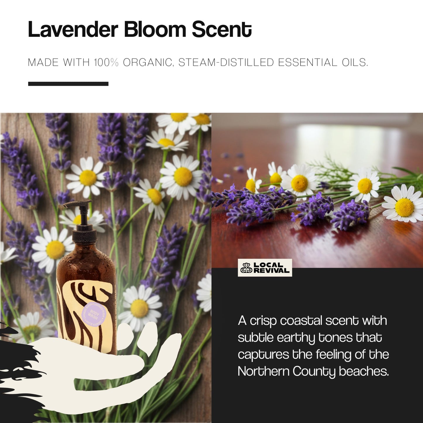 Local Revival Tallow and Honey Body Wash - Lavender Bloom - Beef Tallow with Honey, Olive Oil, Shea Butter and Jojoba Oil - Moisturizing Body Wash Beauty & Personal Care Local Revival