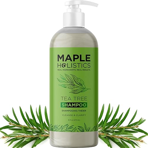 Clarifying Shampoo for Build Up & Oily Hair - Tea Tree Shampoo for Men and Women with Rosemary Essential Oil for Oily Hair and Scalp - Color Safe Beauty & Personal Care Maple Holistics