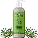 Clarifying Shampoo for Build Up & Oily Hair - Tea Tree Shampoo for Men and Women with Rosemary Essential Oil for Oily Hair and Scalp - Color Safe Beauty & Personal Care Maple Holistics