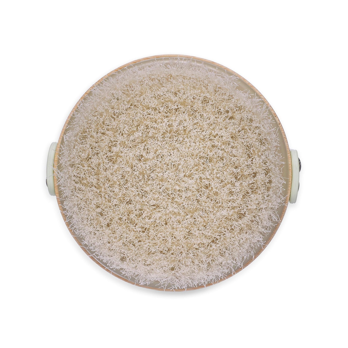 Earth Therapeutics Dry Brush Beauty and Personal Care Earth Therapeutics