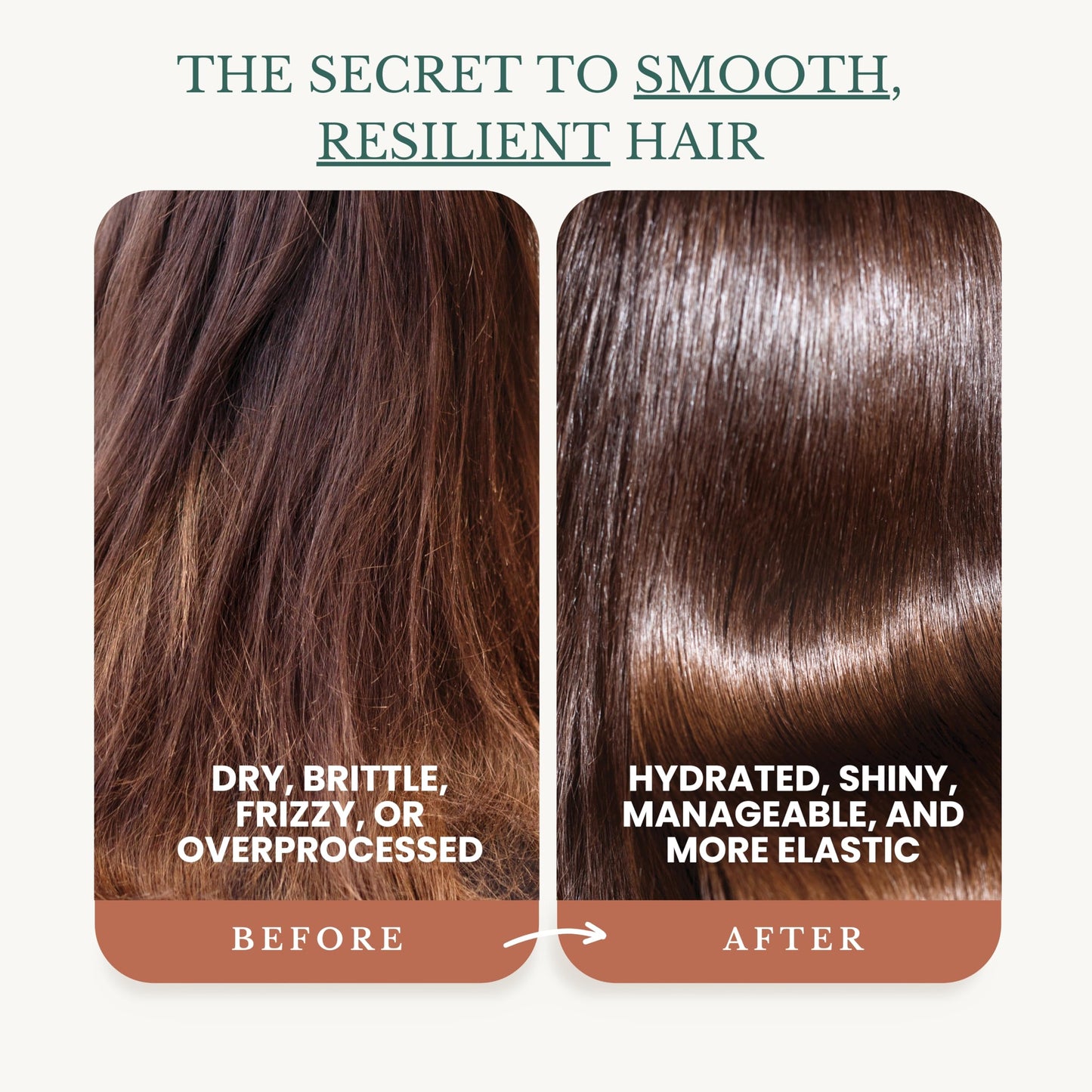 Edenika Botanicals Argan Oil Shampoo and Conditioner Set with Biotin, Repairs Dry & Damaged Hair, Deeply Hydrating & Nourishing, Women & Men Beauty & Personal Care EDENIKA BOTANICALS