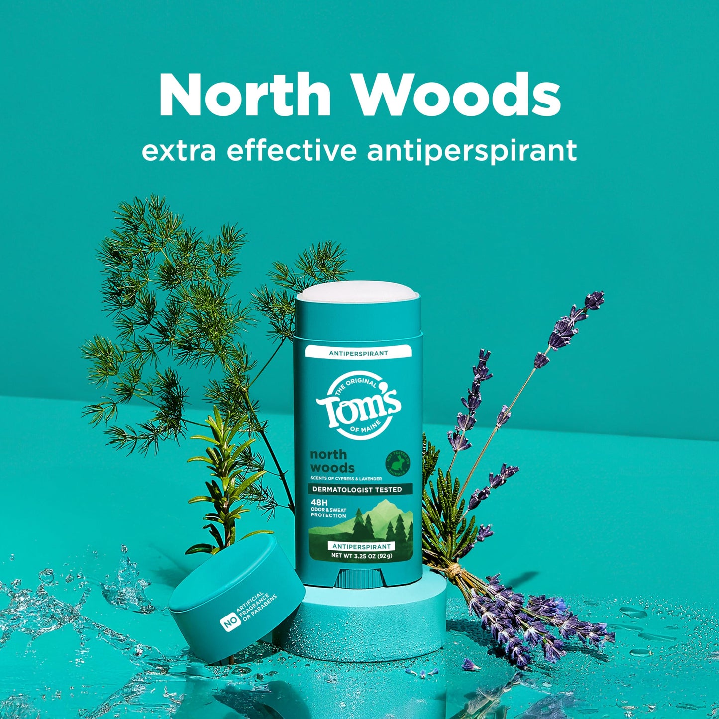 Tom’s of Maine North Woods Antiperspirant for Men and Women, No Artificial Fragrances, Dyes, or Preservatives, Baking Soda Free, 48-Hour Odor Beauty and Personal Care Tom's of Maine