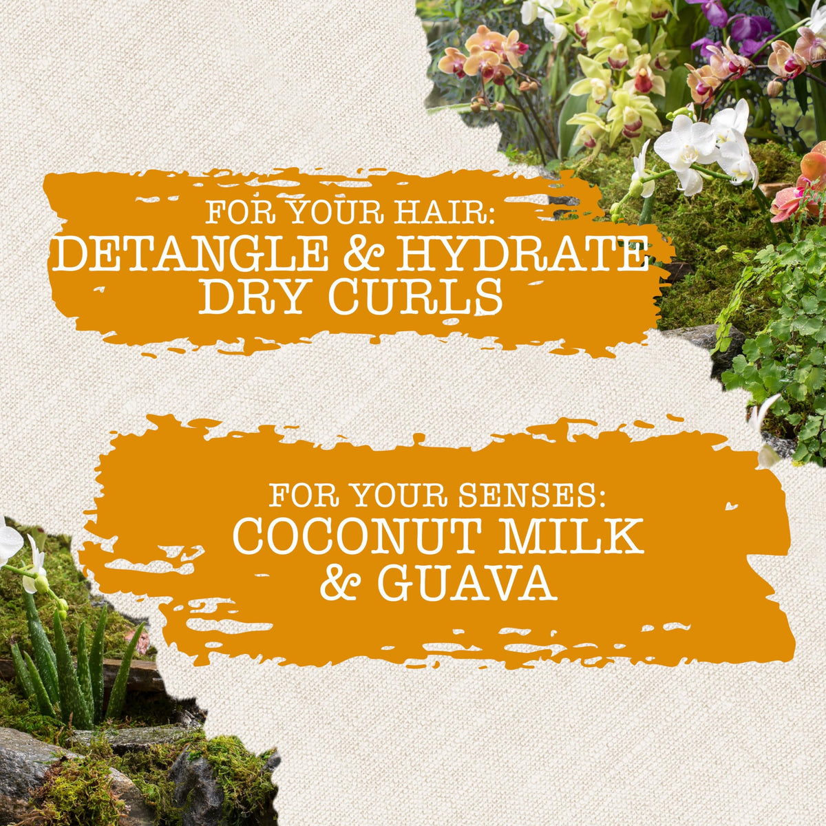 Maui Moisture Nourish & Moisture + Coconut Milk Conditioner to Hydrate and Detangle Curly Hair, Lightweight Daily Moisturizing Conditioner, Vegan,