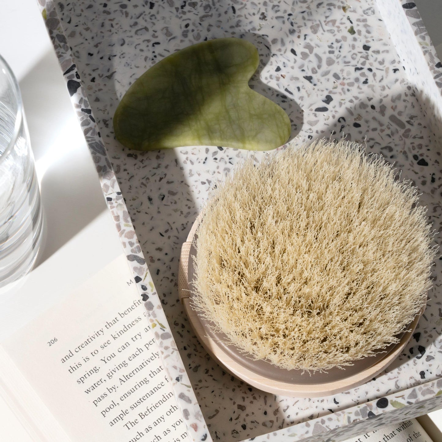EcoTools Dry Body Brush, Cruelty-Free Bristles Exfoliate & Smooth Skin, Dry Brushing Removes Flaky Skin, May Help Improve Circulation & Tone Beauty and Personal Care EcoTools