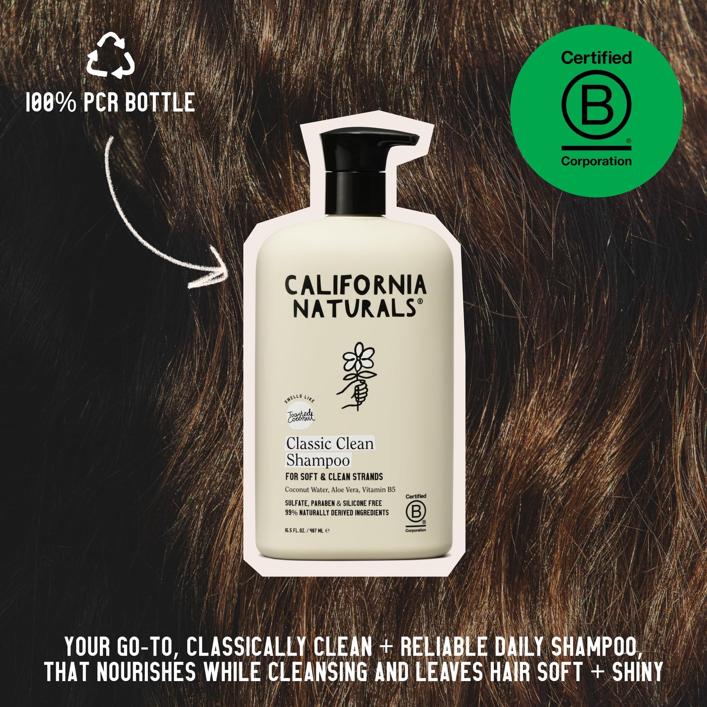 California Naturals Classic Clean Toasted Coconut Shampoo, Sulfate Free, Coconut Cleansing Complex, Natural, Vegan, Cruelty, Silicone, and Paraben Beauty and Personal Care California Naturals