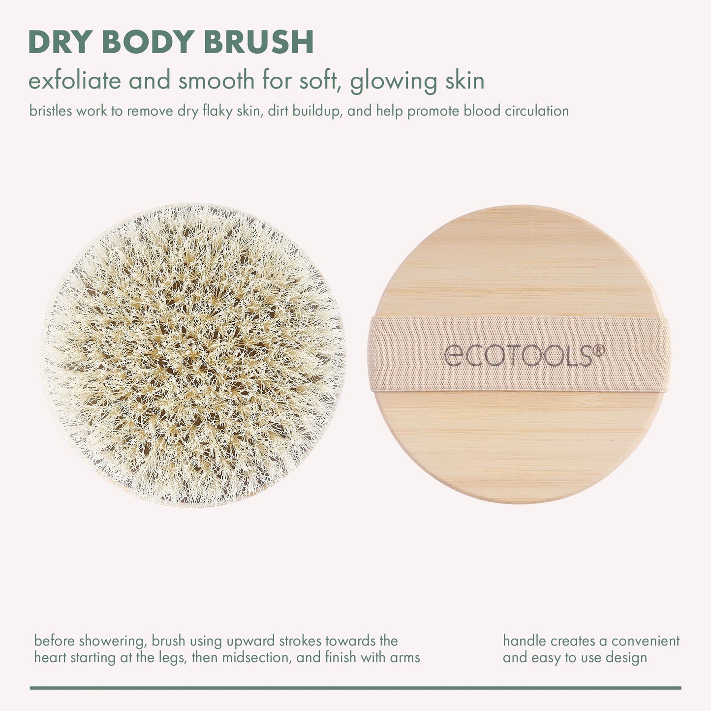EcoTools Dry Body Brush, Cruelty-Free Bristles Exfoliate & Smooth Skin, Dry Brushing Removes Flaky Skin, May Help Improve Circulation & Tone Beauty and Personal Care EcoTools