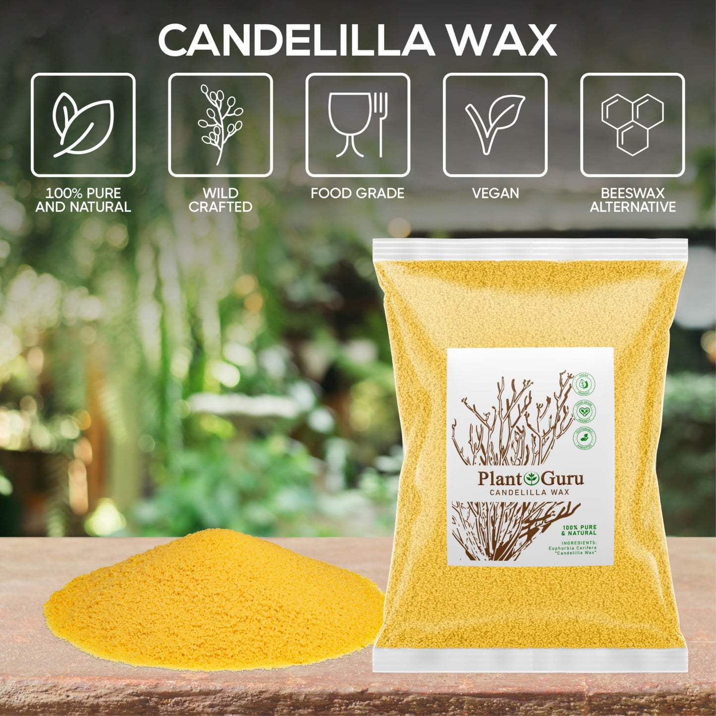 Candelilla Wax Pellets 5 lbs. Bulk Wholesale 100% Pure Natual Food Grade Vegan Wax For DYI Lip Balm, Soap and Candle Making, Creams and Lotions. Great Beauty and Personal Care Plant Guru