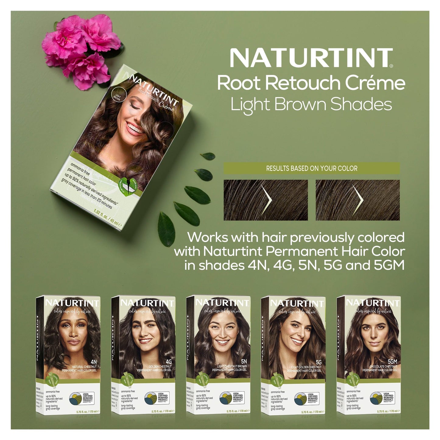 Naturtint Light Brown Root Retouch Crème Permanent Hair Color - Ammonia Free, Conceal Grays, No Artificial Scent, 1.52 Fl Oz Beauty & Personal Care Naturtint
