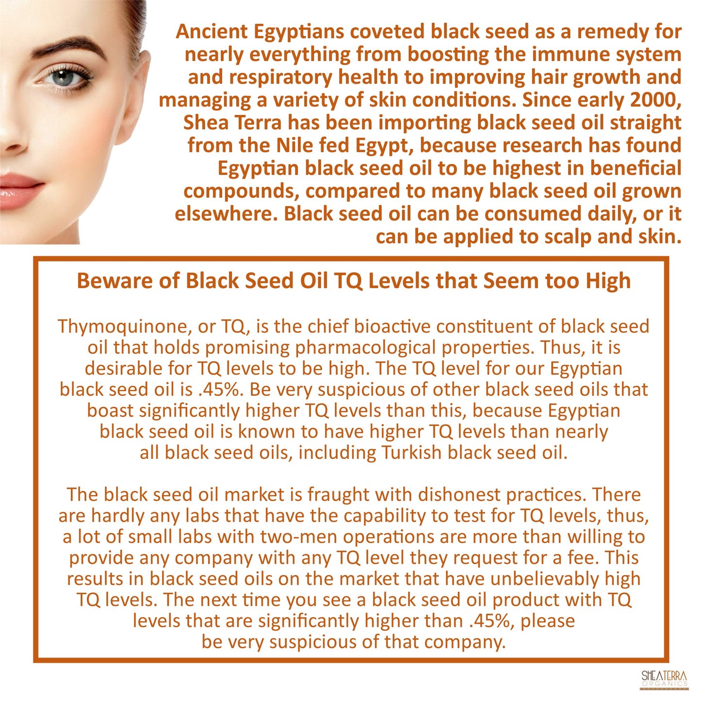 Shea Terra Egyptian Black Seed Cold Pressed Extra Virgin Oil, All Natural Oil to Support Immune System, Encourage Hair Growth & Skin Tone, Assist in Beauty & Personal Care Shea Terra Organics
