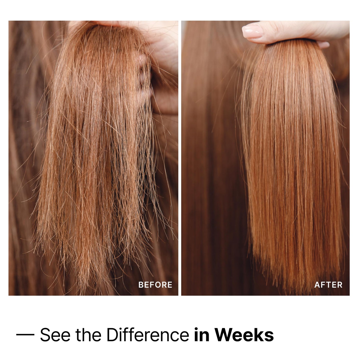 My Way Hair DNA Repair Oil - Restorative and Heat Protectant Oil for Frizz Control - Adds Shine and Seals Split Ends - Paraben, Phthalate, Sulfate Beauty & Personal Care MYWAY HAIR DNA PREP