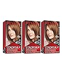 Revlon Colorsilk Beautiful Color, Permanent Hair Dye with Keratin, 100% Gray Coverage, Ammonia Free, 53 Light Golden Brown (Pack of 3) Beauty & Personal Care REVLON