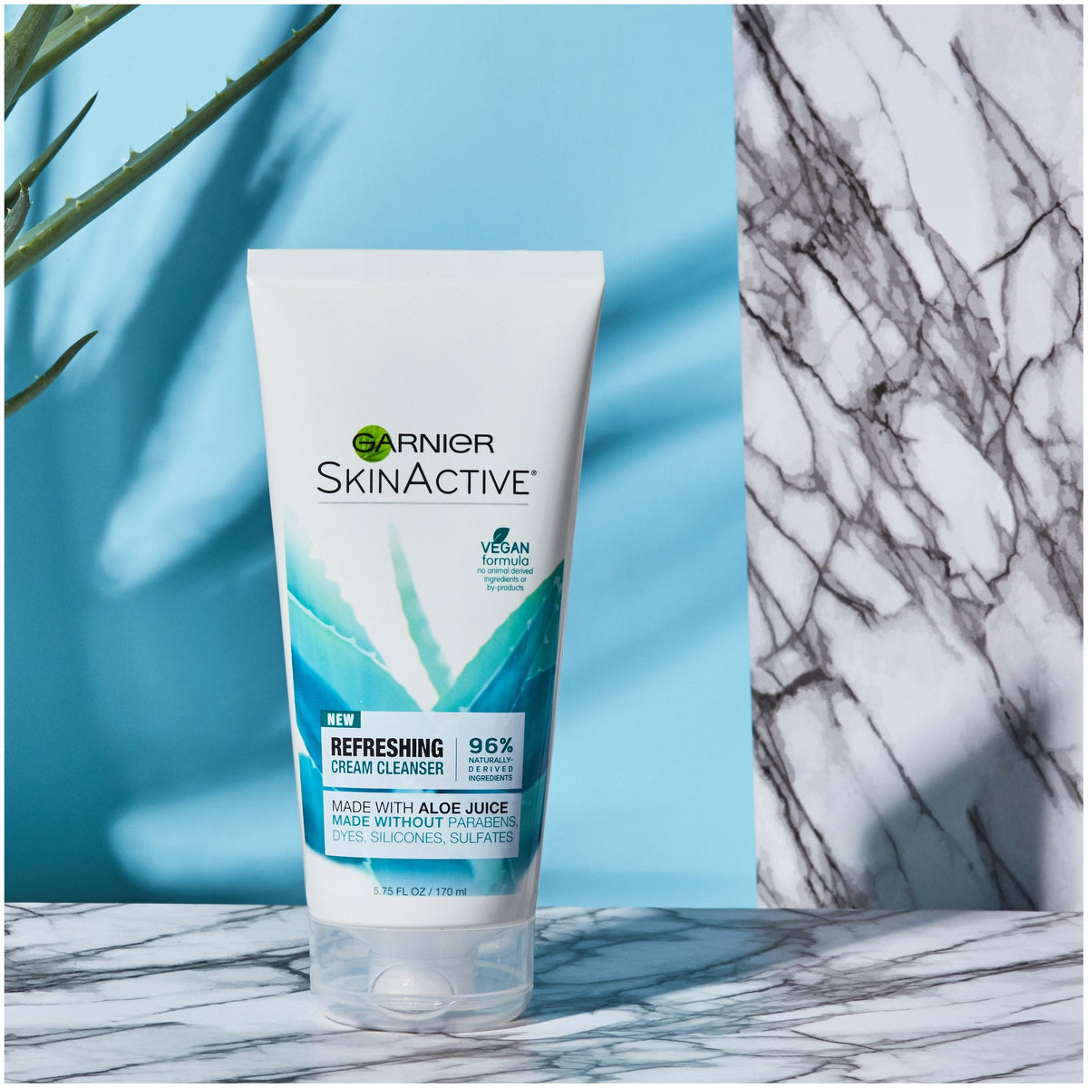 Garnier SkinActive Cream Face Wash with Aloe Juice, Dry Skin, 5.75 fl. oz. Beauty & Personal Care Garnier