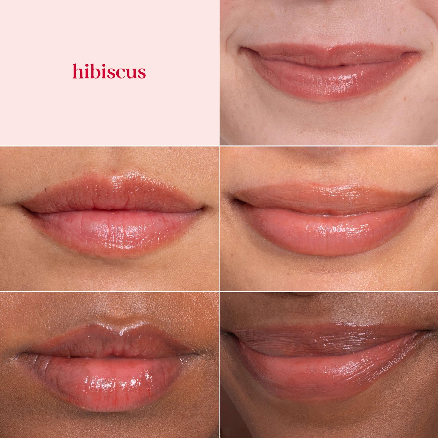 Burt's Bees Lip Tint Balm, Long Lasting 2 in 1 Duo Tinted Balm Formula, Color Infused with Hydrating Shea Butter for a Natural Looking Buildable Beauty and Personal Care Burt's Bees