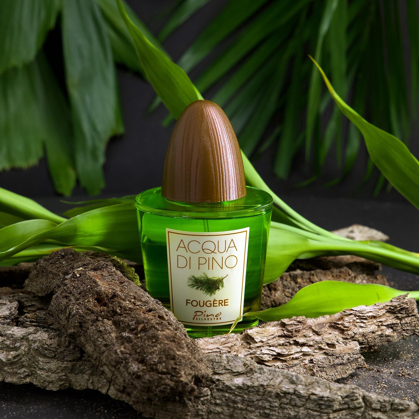 Acqua Di Pino Fougere By Pino Silvestre For Men - A Men's Eau De Toilette Cologne Perfume Spray With An Intense Fragrance For Every Guy - A Truly Male Beauty & Personal Care Pino Silvestre