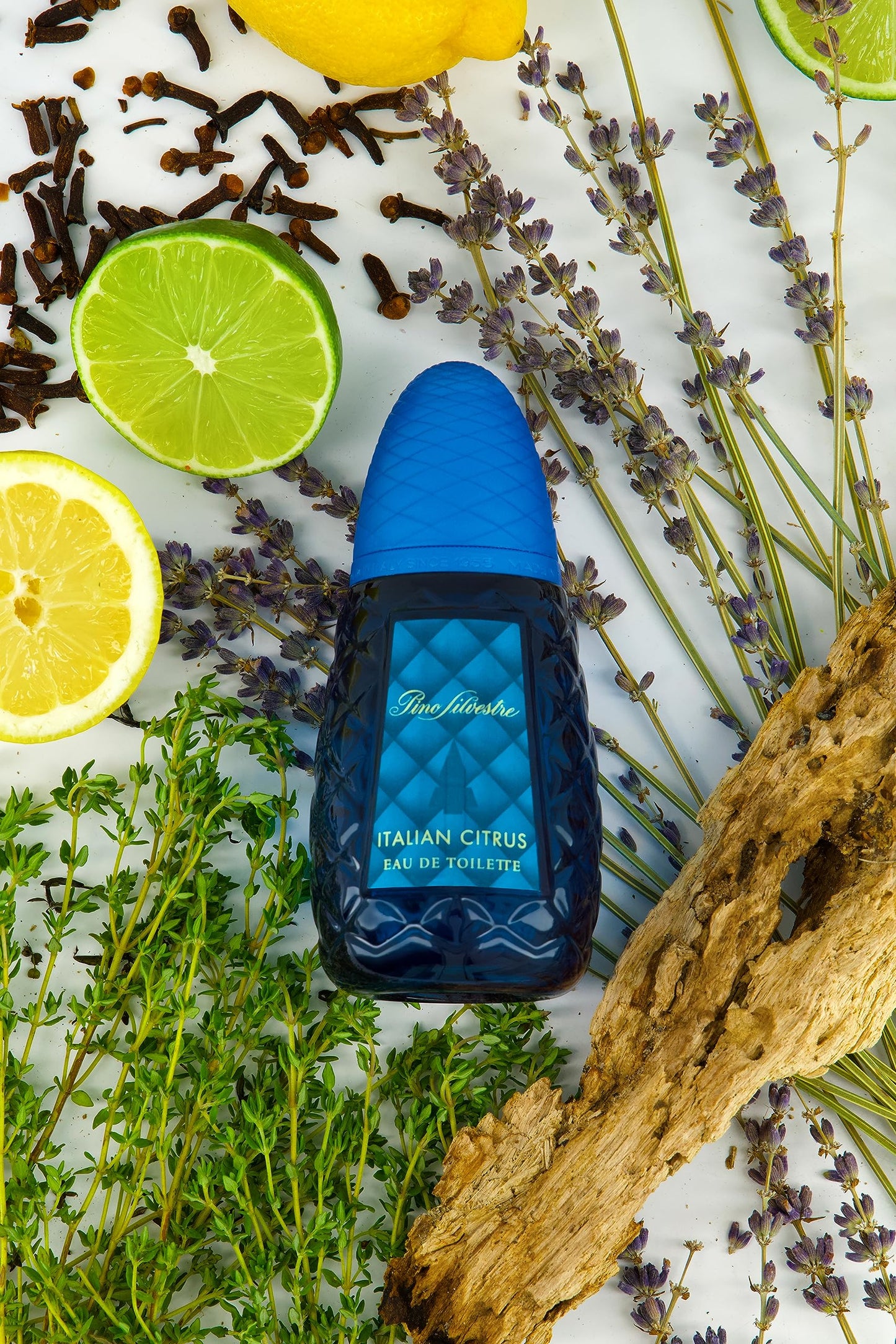 Italian Citrus by Pino Silvestre - Perfume for Men - Woody, Aromatic Scent - Blended with Lemon, Pine, Apple, Patchouli, and Musk - for Calm Beauty & Personal Care Pino Silvestre