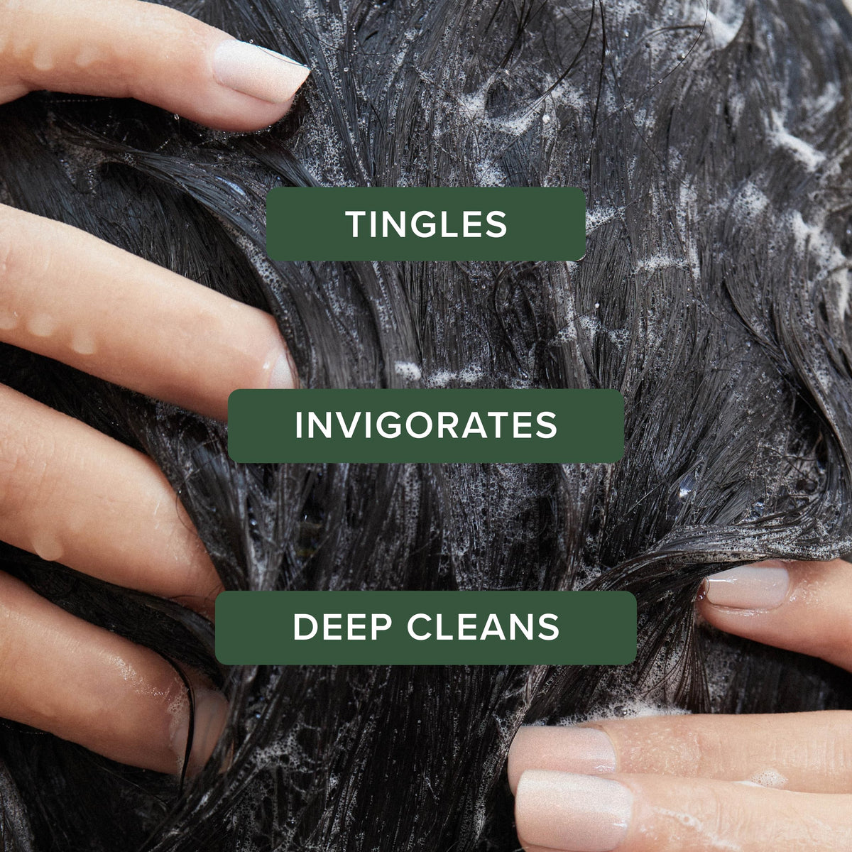 Tea Tree Special Shampoo, Deep Cleans, Refreshes Scalp, For All Hair Types, Especially Oily Hair, 2.5 fl. oz.