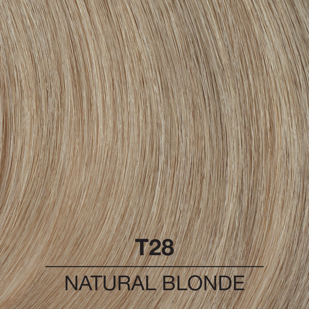 COLORCHARM Permanent Liquid Toners | Neutralize Brass | Free of Parabens | Vegan | T28 Natural Blonde | 1.4 Fl Oz Beauty & Personal Care COLORCHARM