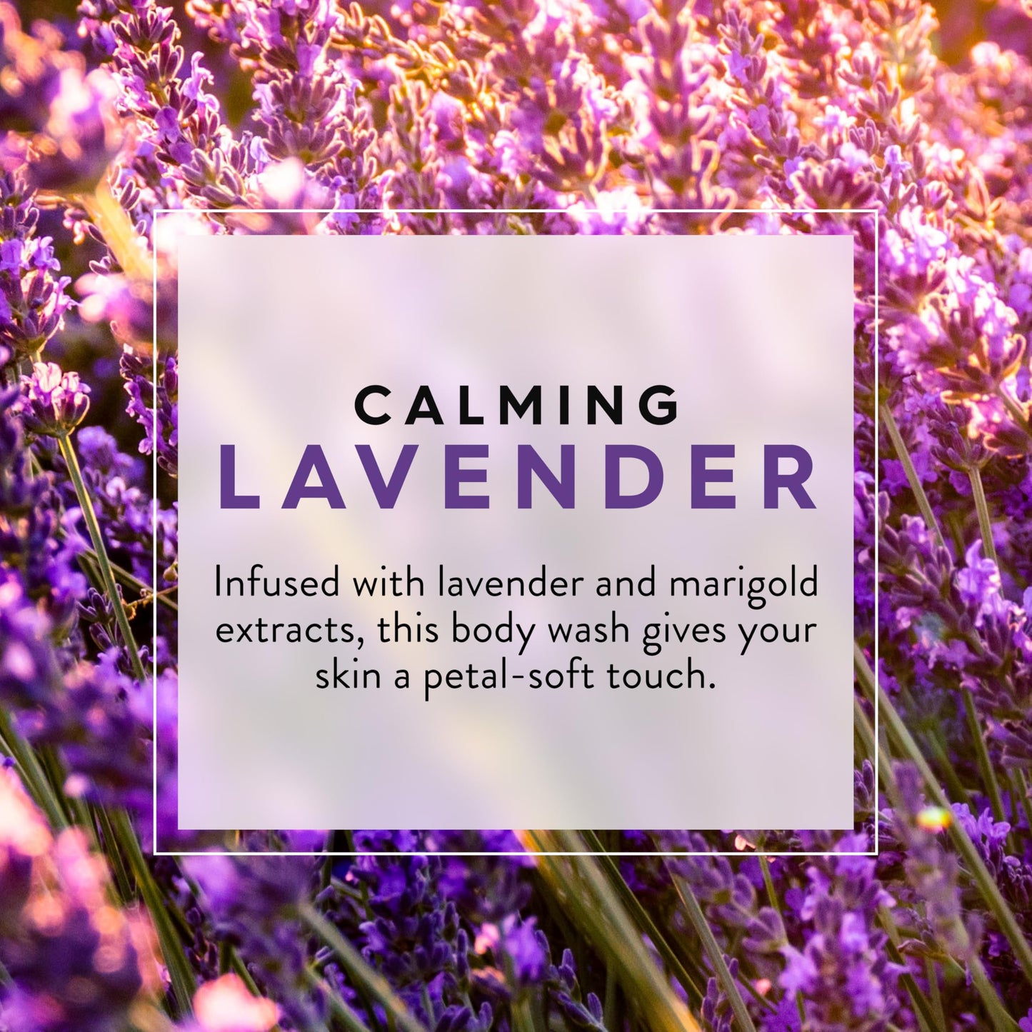 Jason Calming Lavender, Body Wash, 30 oz, Pack of 2 Beauty & Personal Care JASON