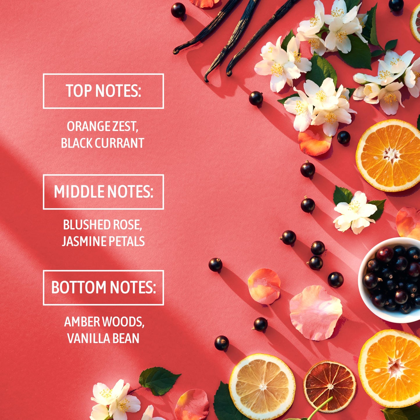 NATURE WELL Brightening Body Wash, Gentle & Creamy Formula Enriched with Mango Seed Butter & Vitamin C, Promotes a Luminous & Healthy-Looking Glow Beauty & Personal Care NATURE WELL
