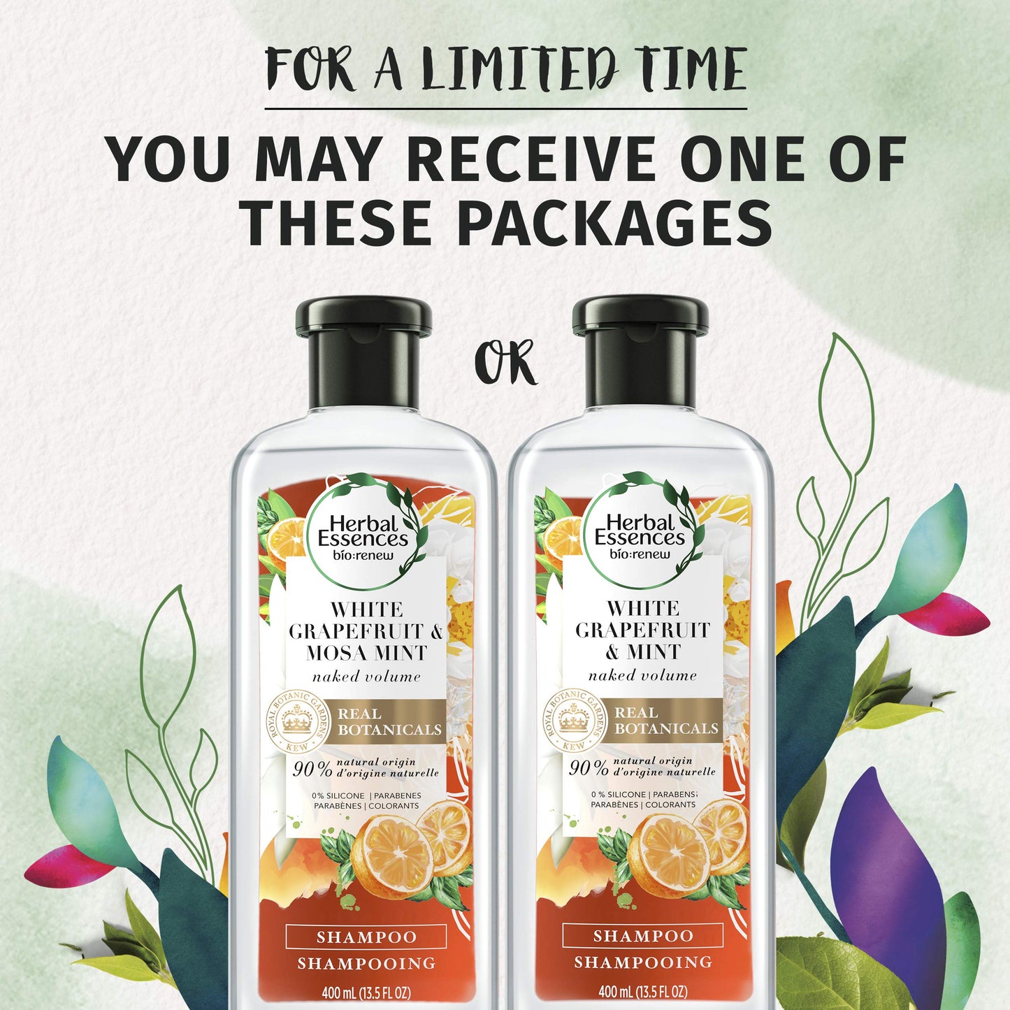 Herbal Essences bio:renew White Grapefruit & Mosa Mint Naked Volume Shampoo, 13.5 fl oz Beauty & Personal Care Procter & Gamble
