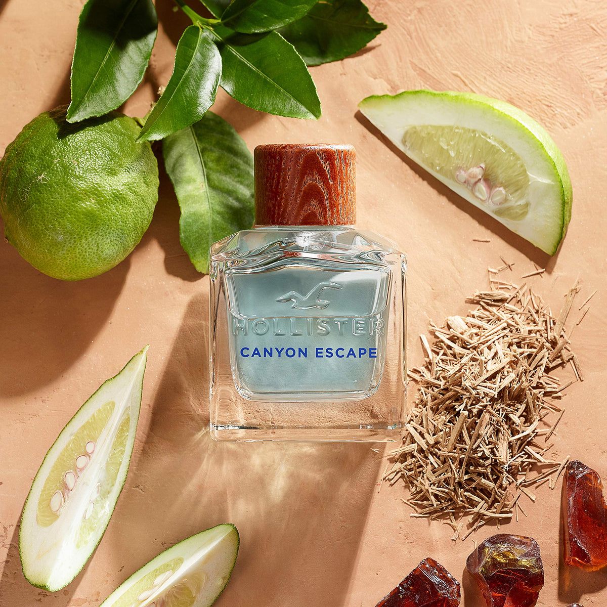 Hollister Canyon Escape Men EDT Spray 3.4 oz Beauty & Personal Care Hollister