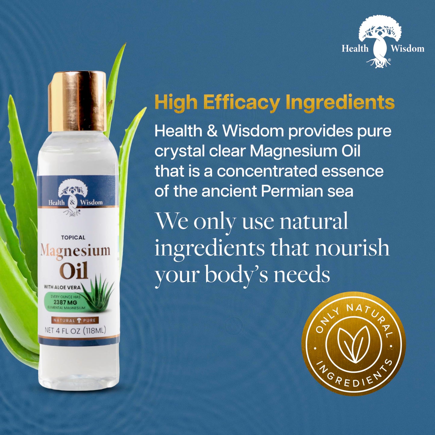 Health & Wisdom Pure Magnesium Oil with Aloe Vera - Topical Muscle & Joint Relief- Natural and Pure USP Grade Extra Strength Magnesium - Enhanced Beauty & Personal Care Health and Wisdom