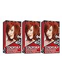 Revlon Permanent Hair Color, Permanent Hair Dye, Colorsilk with 100% Gray Coverage, Ammonia-Free, Keratin and Amino Acids, 42 Medium Auburn, 4.4 Oz Beauty & Personal Care REVLON
