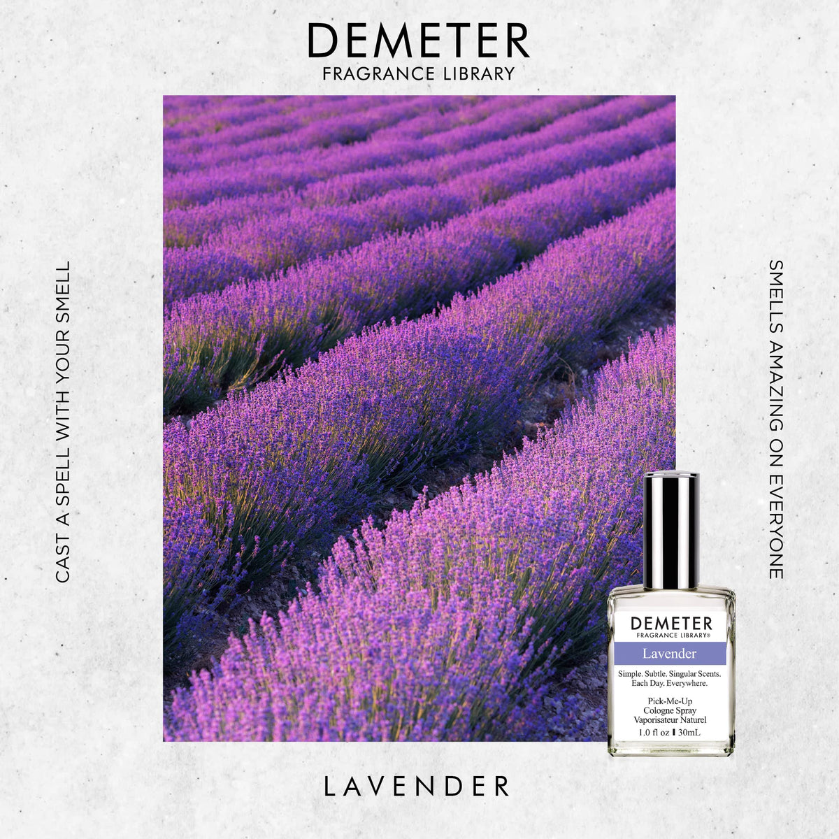 Demeter 1oz Cologne Spray - Lavender Beauty & Personal Care The Library of Fragrance