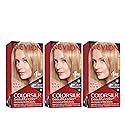 Revlon Permanent Hair Color, Permanent Hair Dye, Colorsilk with 100% Gray Coverage, Ammonia-Free, Keratin and Amino Acids, 73 Champange Blonde, 4.4 Oz Beauty & Personal Care REVLON