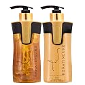 Keratin Cure Gold & Honey 2 Piece Hair Care Sulfate Free Shampoo, Conditioner for Repair Moisturize with Protein & Organic Extracts for keratin Beauty & Personal Care Keratin Cure