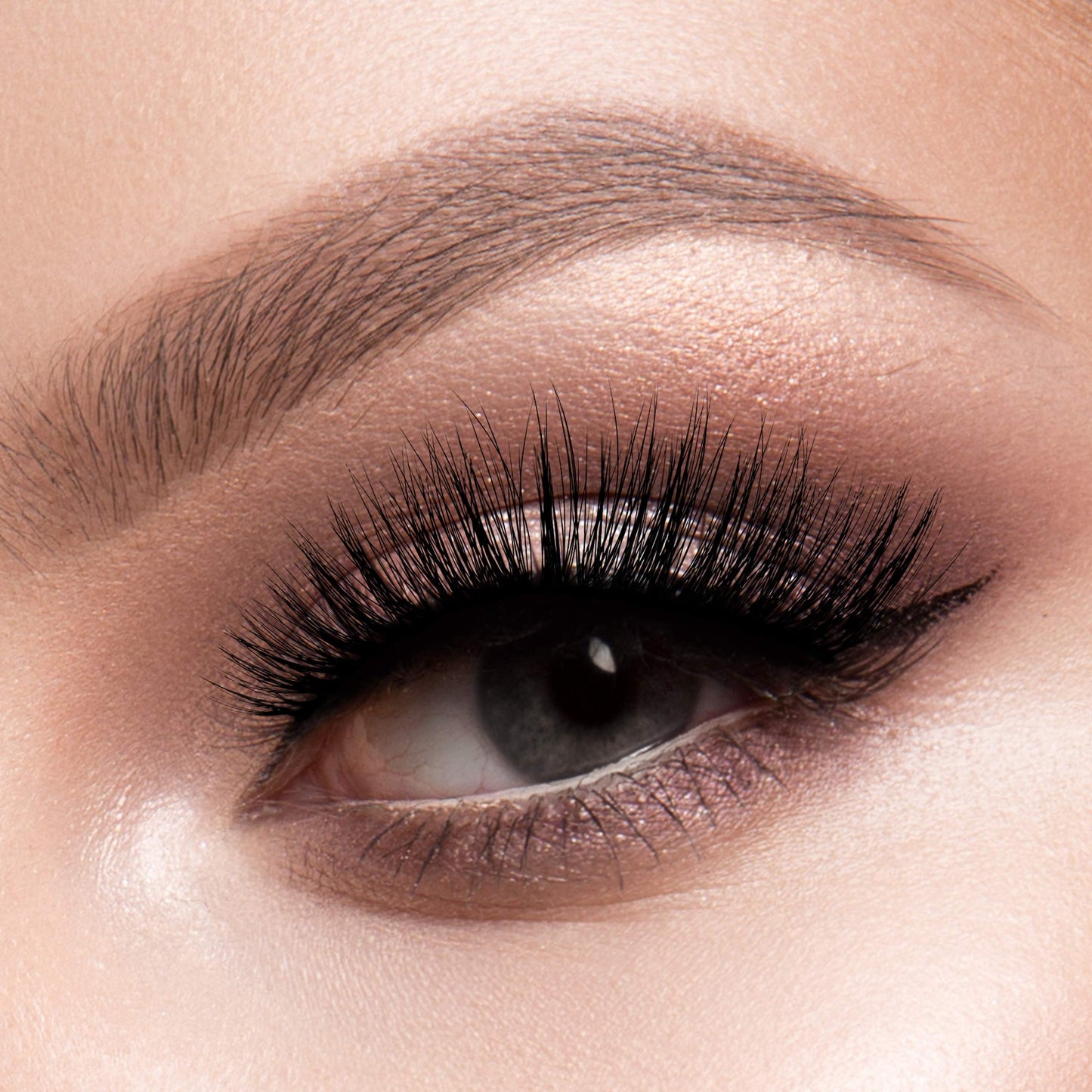 Chloe - Wild Cat 3D Lashes Beauty & Personal Care EBIN NEW YORK
