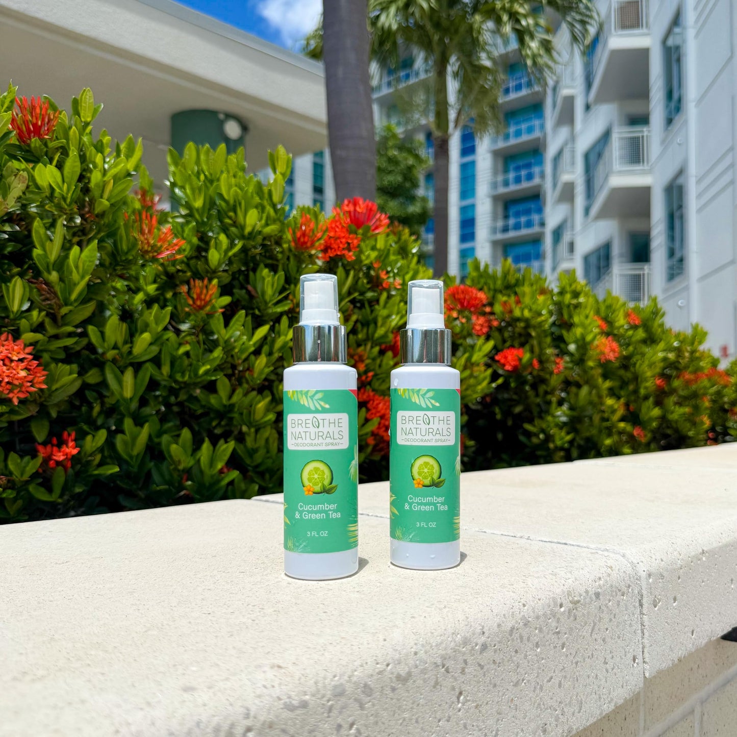 Breathe Naturals Deodorant - All Day Odor Protection - Aluminum Free & Vegan - Sensitive Skin Approved - Unisex 2.6 oz Stick - Made In The USA Beauty and Personal Care BREATHE NATURALS