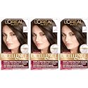 L'Oreal Paris Excellence Creme Permanent Hair Color, 4 Dark Brown (Pack of 3) Beauty & Personal Care L'Oreal Paris