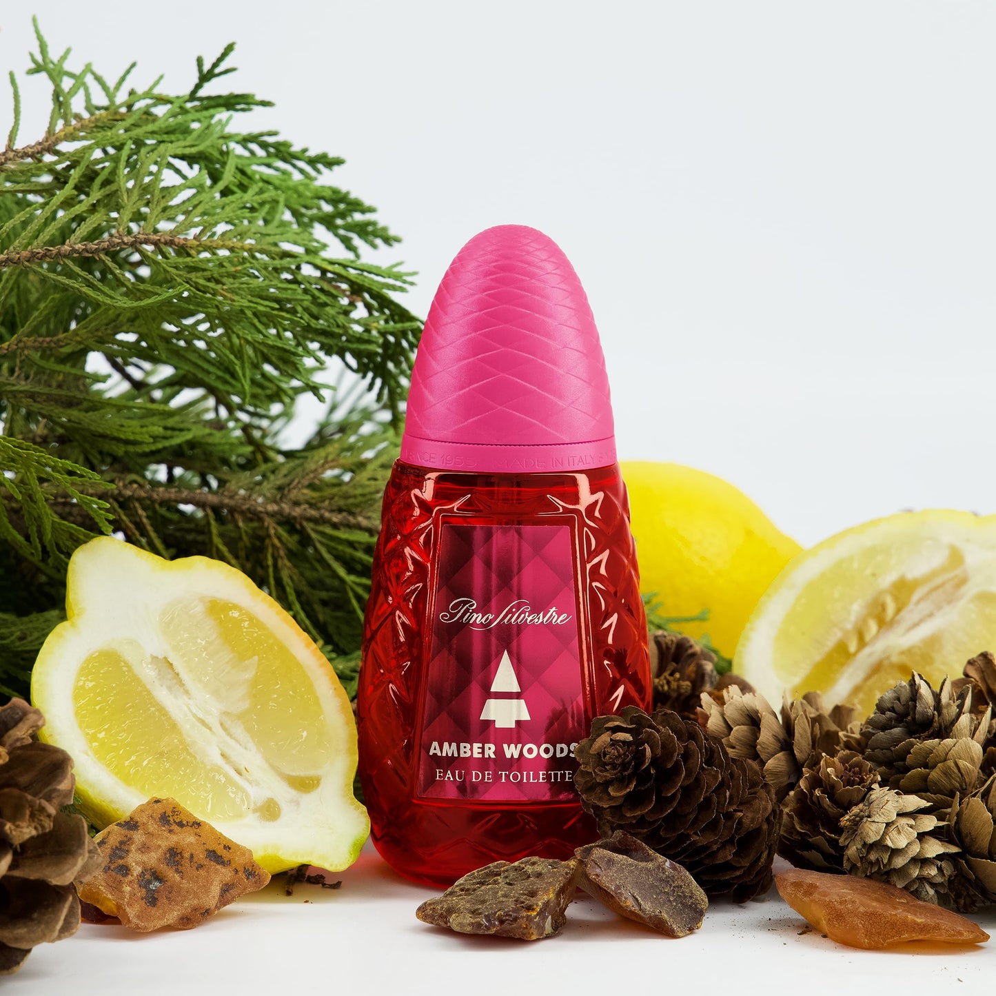 Amber Woods by Pino Silvestre - Perfume for Men - Aromatic, Woody, Spicy Scent - Blended with Lemon, Lavender, Patchouli, and Sandalwood - for Bold Beauty & Personal Care Pino Silvestre