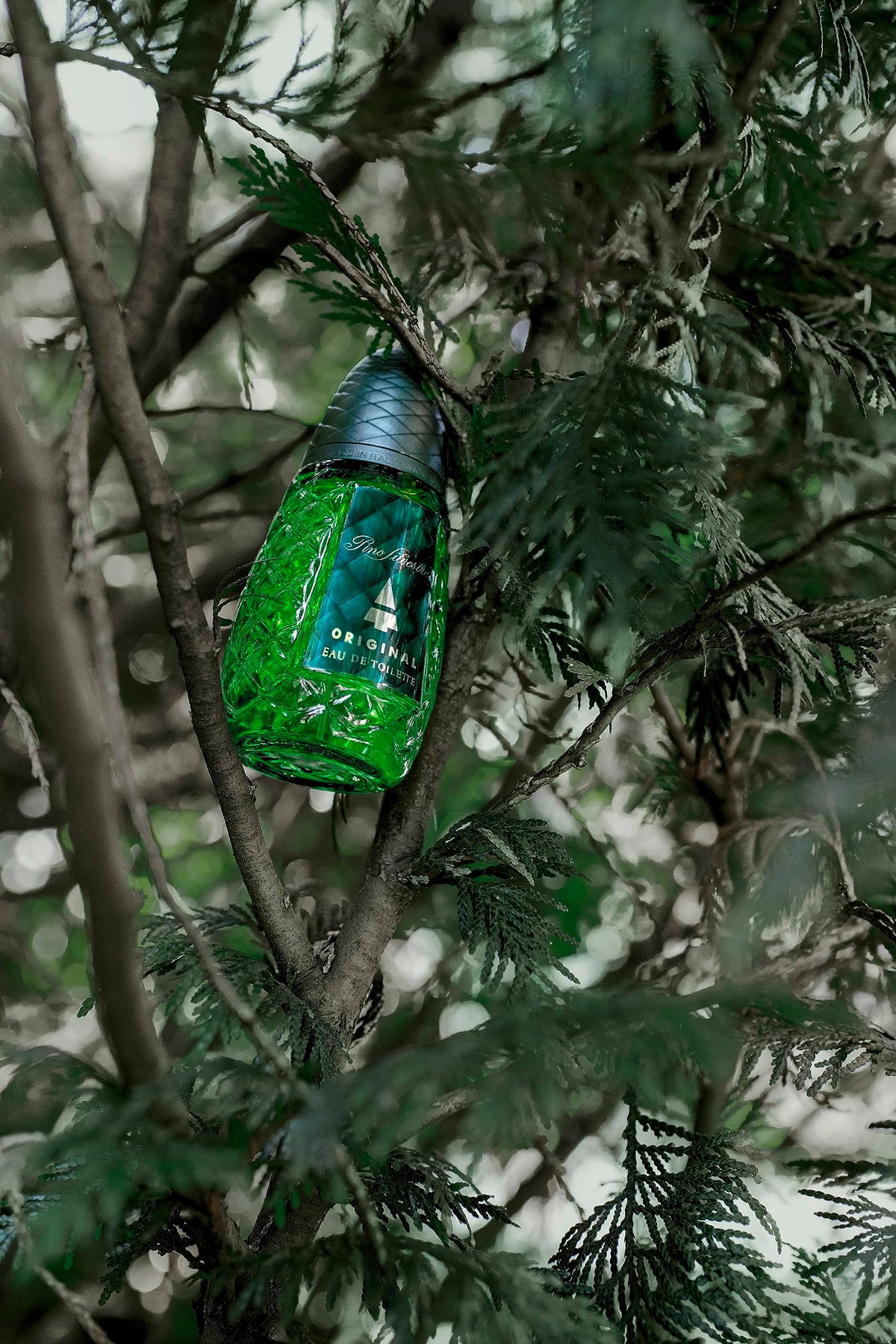 Pino Silvestre Original By Pino Silvestre For Men - A Men's Eau De Toilette Cologne Perfume Spray With A Million Dollar Fragrance - An Extreme Beauty & Personal Care Pino Silvestre