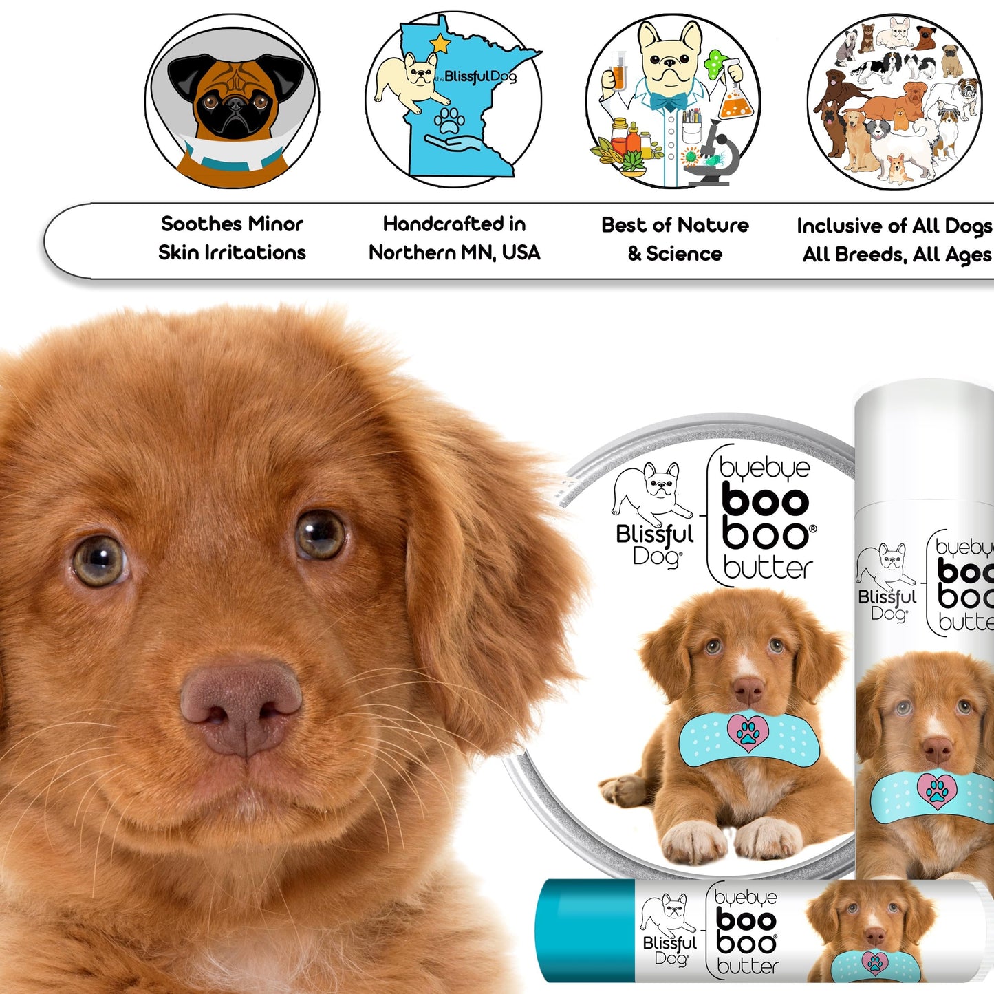The Blissful Dog Nova Scotia Duck Tolling Retriever Boo Boo Butter, 1-Ounce Beauty and Personal Care The Blissful Dog