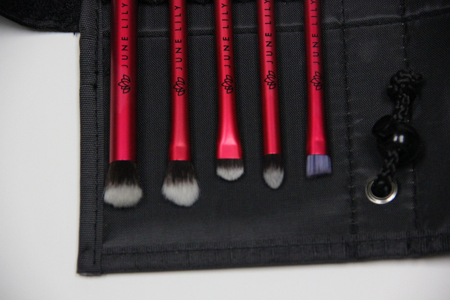 Professional Hypoallergenic Cosmetic Makeup Eye Shadow Brush Kit with Carrying Case (5-Piece Set) Beauty & Personal Care MaximalPower