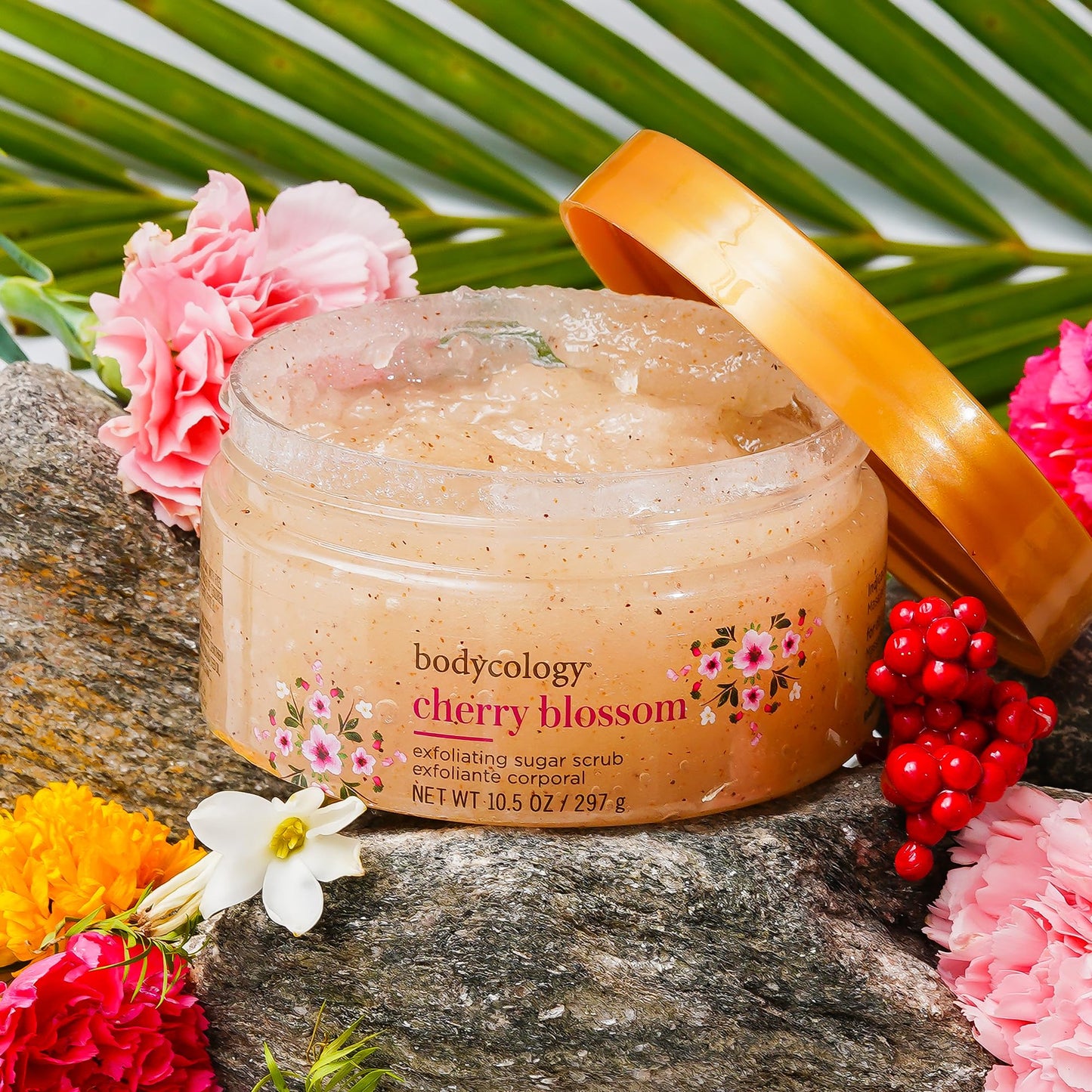 Bodycology Cherish The Moment Exfoliating Sugar Scrub for Women, 10.5 Fluid Ounce Beauty & Personal Care Bodycology