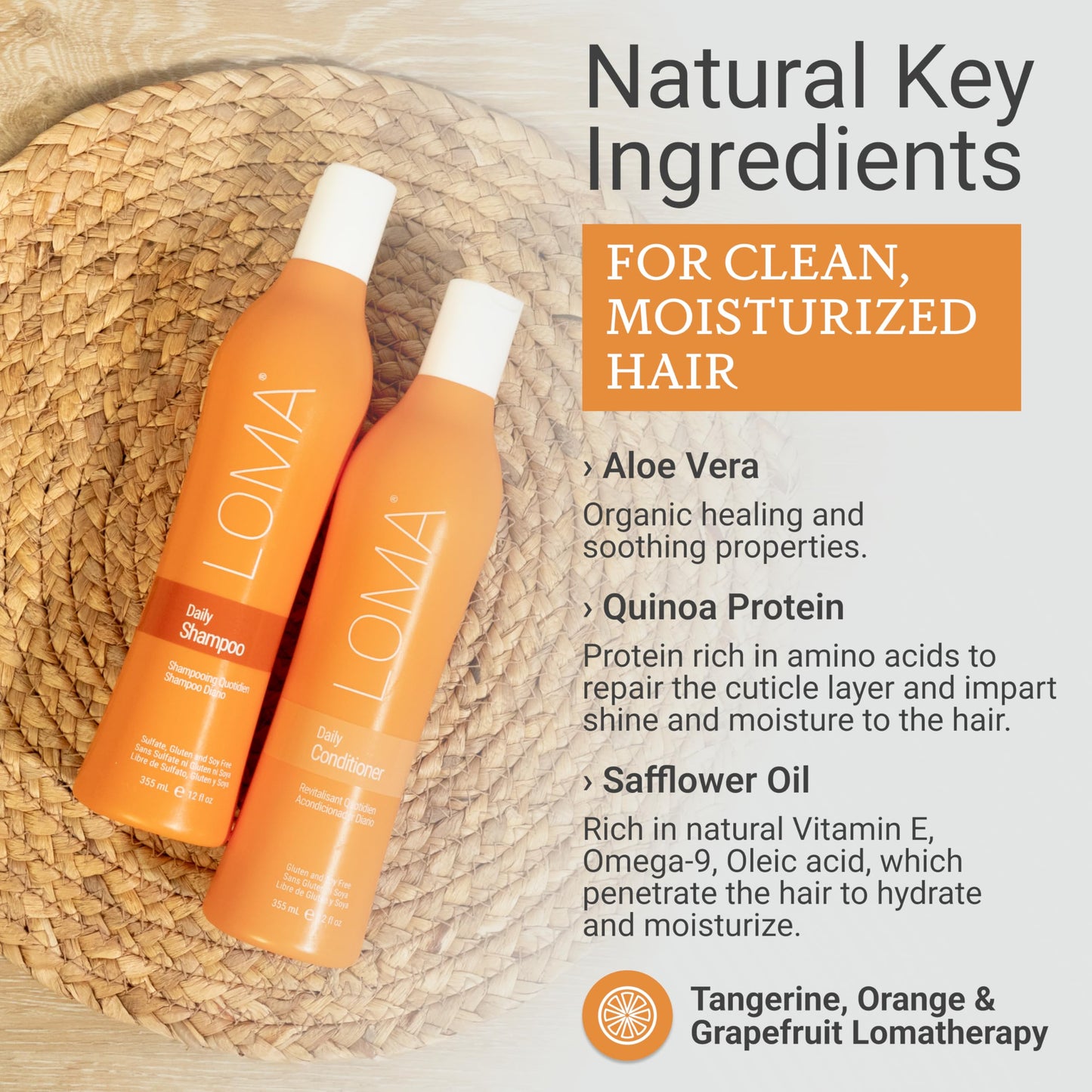 LOMA Daily Shampoo (clear formula) and Daily Conditioner (DUO PACK) 12 Ounce Each Beauty & Personal Care Loma