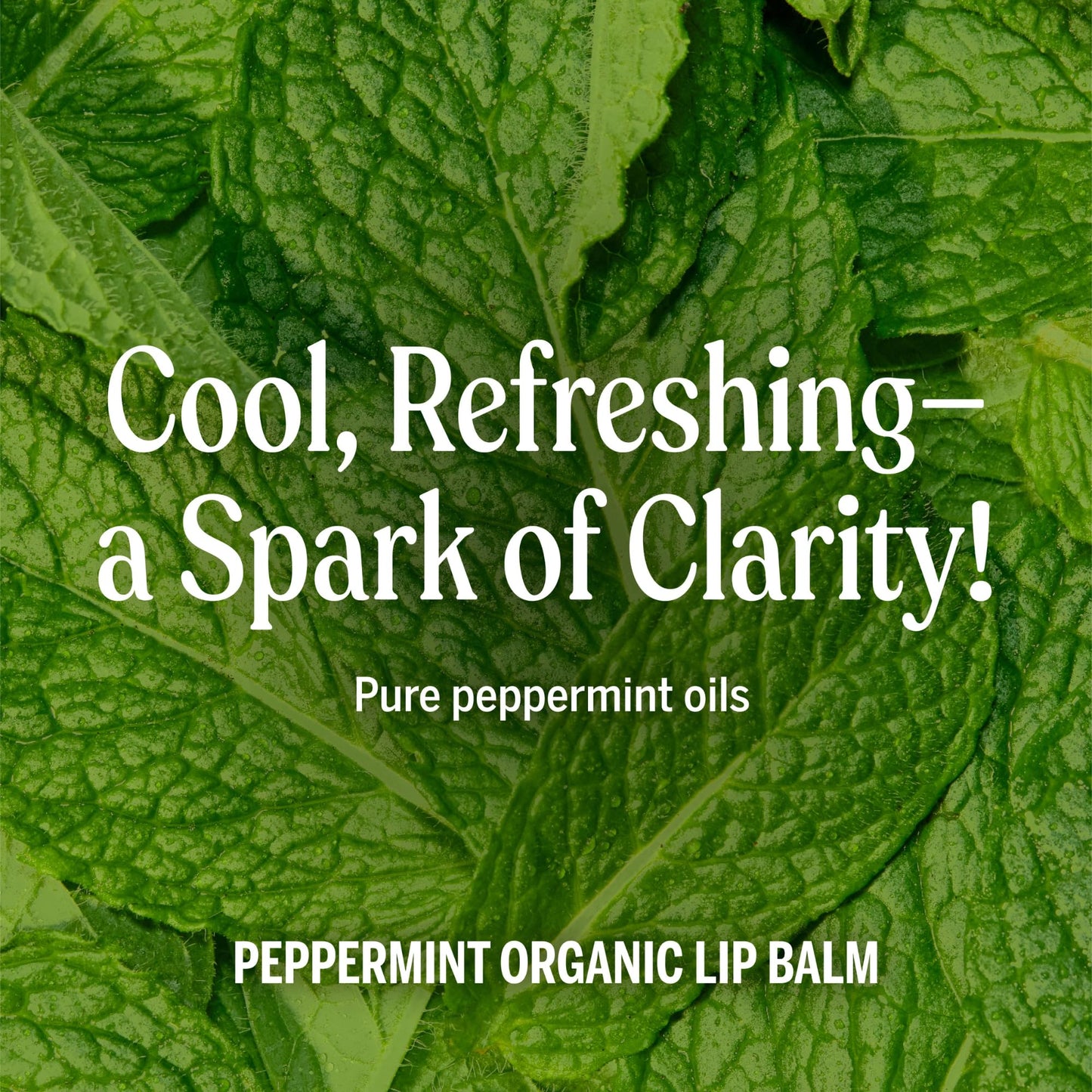 Dr. Bronner's - Organic Lip Balm (Peppermint, .15 ounce, 6-Pack) - Made with Organic Beeswax and Avocado Oil, For Dry Lips, Hands, Chin or Cheeks Beauty & Personal Care Dr. Bronner's