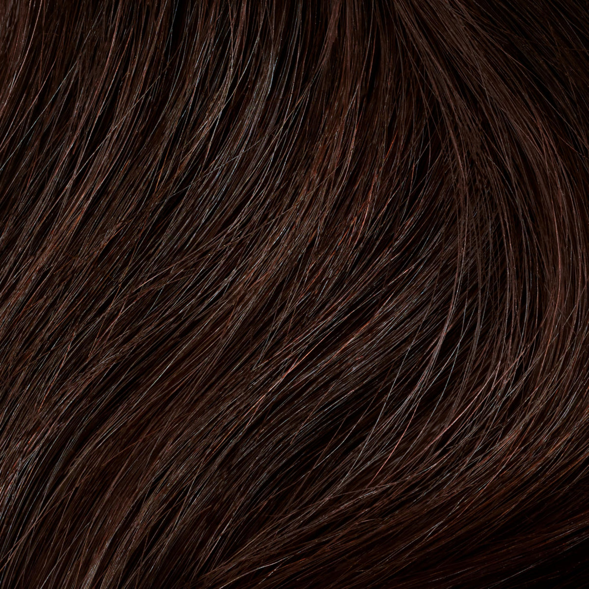 Clairol Professional Permanent Liquicolor, 4rn Light Red Neutral Brown, 2 Fl Oz - Packaging May Vary Beauty & Personal Care Clairol Professional