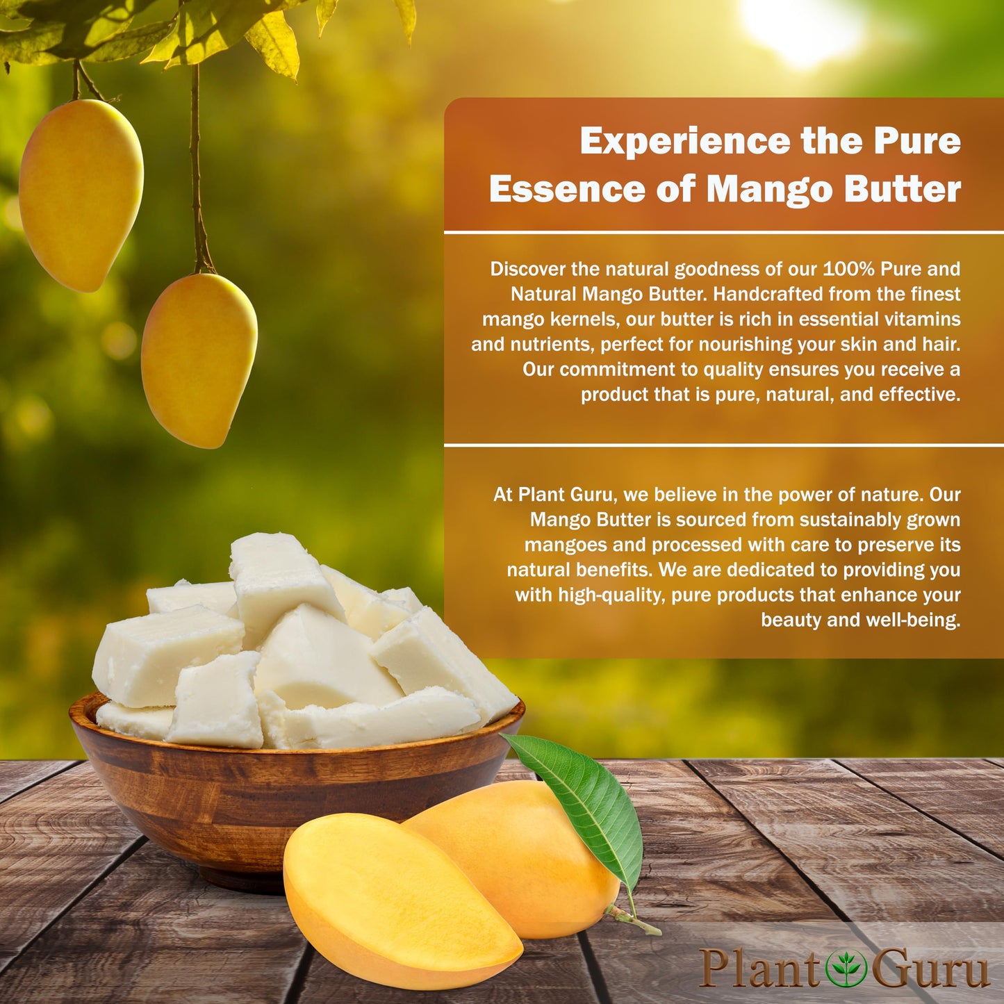 Plant Guru Raw Mango Butter 8 oz. Bar - 100% Pure Natural Unrefined - Great for Skin and Hair Growth. DIY Soap Making, Body Butter, Lotions Beauty & Personal Care Plant Guru