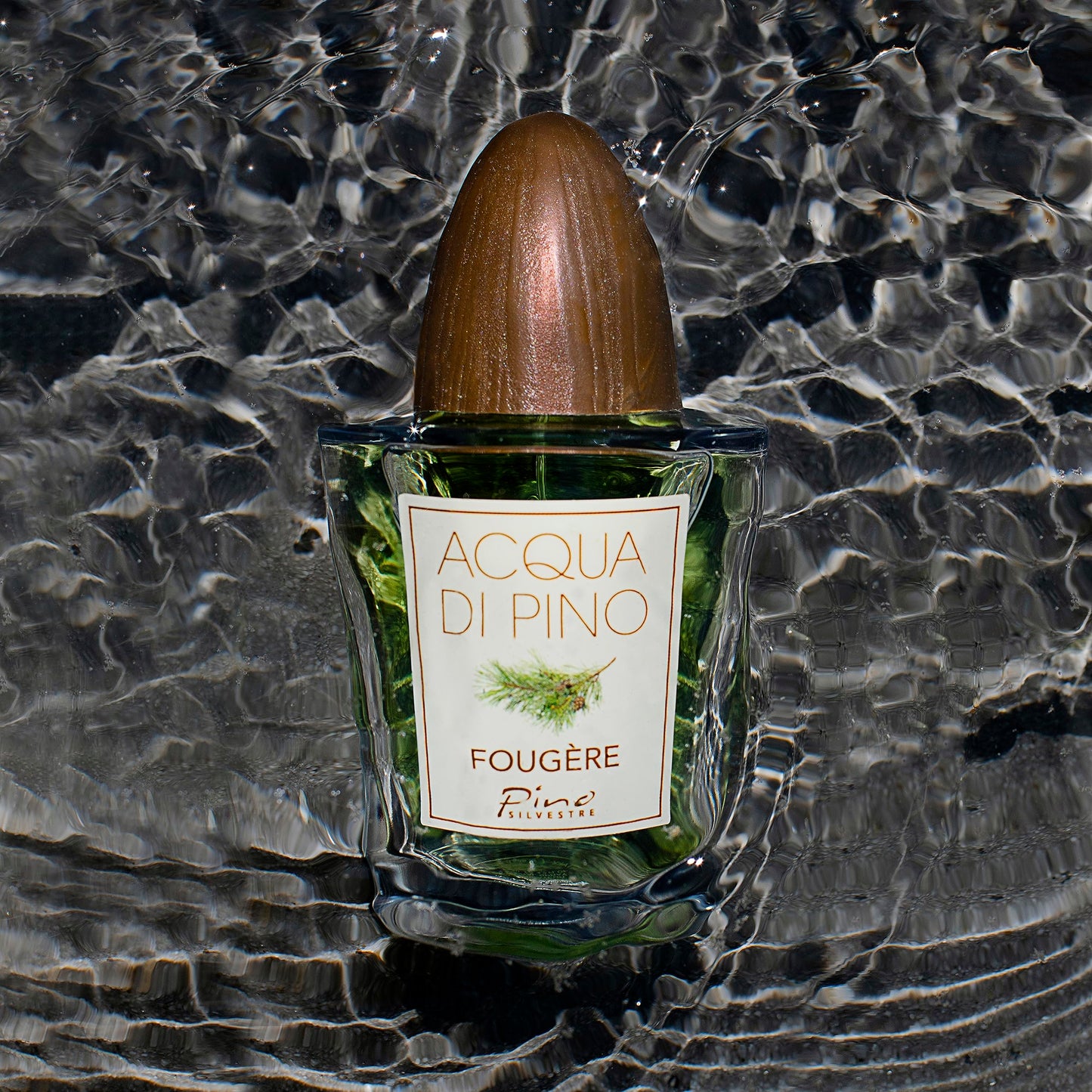 Acqua Di Pino Fougere By Pino Silvestre For Men - A Men's Eau De Toilette Cologne Perfume Spray With An Intense Fragrance For Every Guy - A Truly Male Beauty & Personal Care Pino Silvestre