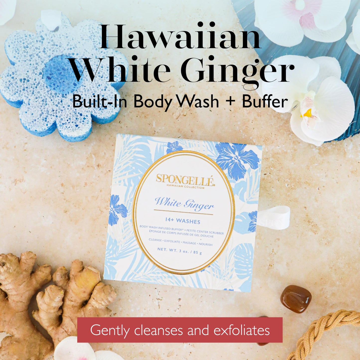 Spongellé White Ginger Hawaiian Buffer - Body Wash Infused Sponge with Awapuhi & Kukui Nut Oil - Exfoliates & Hydrates - 14+ Uses Beauty and Personal Care SPONGELLÉ