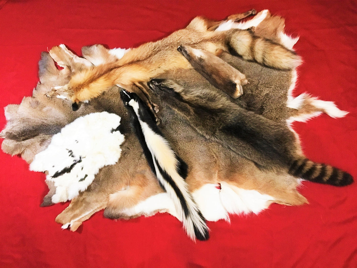 MELBY OUTDOORS FUR TANNING KIT