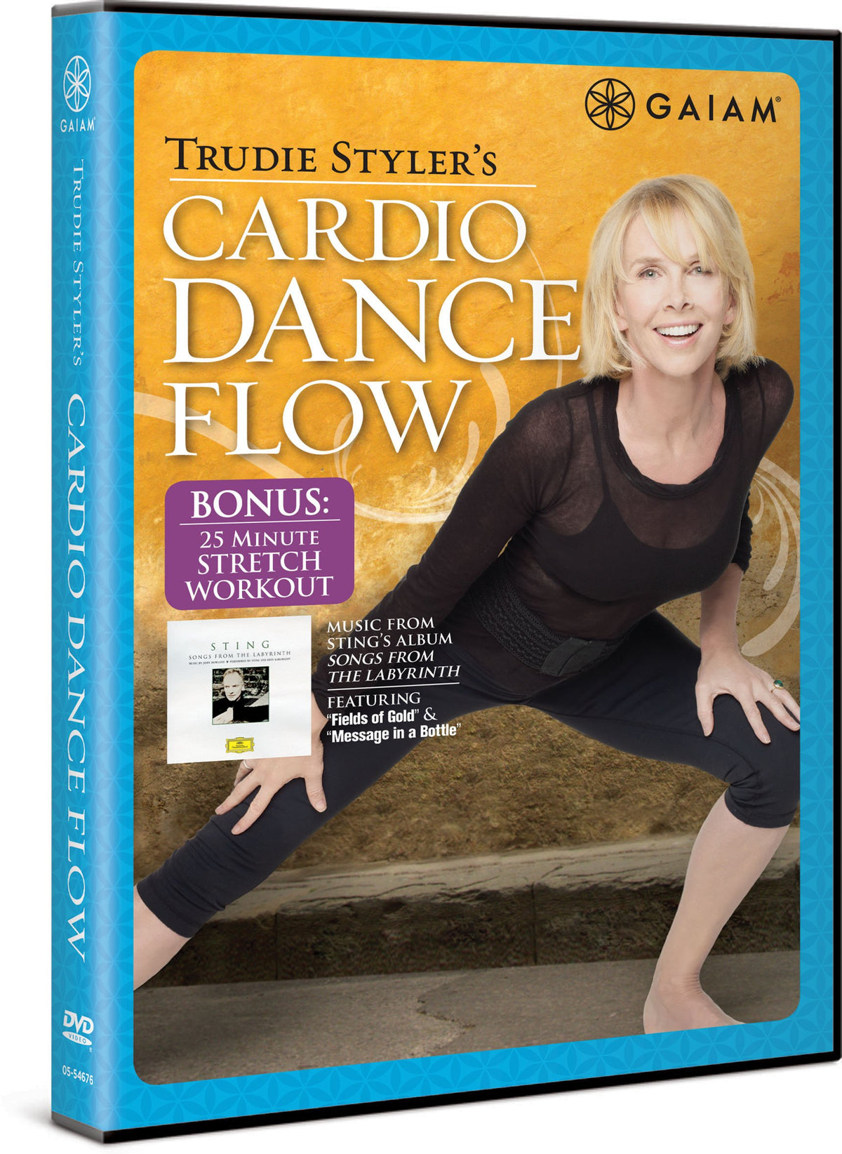 Trudie Styler's Cardio Dance Flow