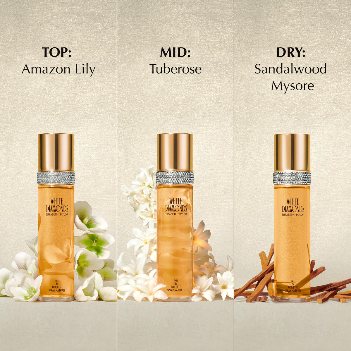 Elizabeth Taylor White Diamonds Women's Perfume, Long-Lasting Floral Fragrance for Her, Eau de Toilette EDT Spray, 1.7 fl oz Beauty & Personal Care Elizabeth Taylor