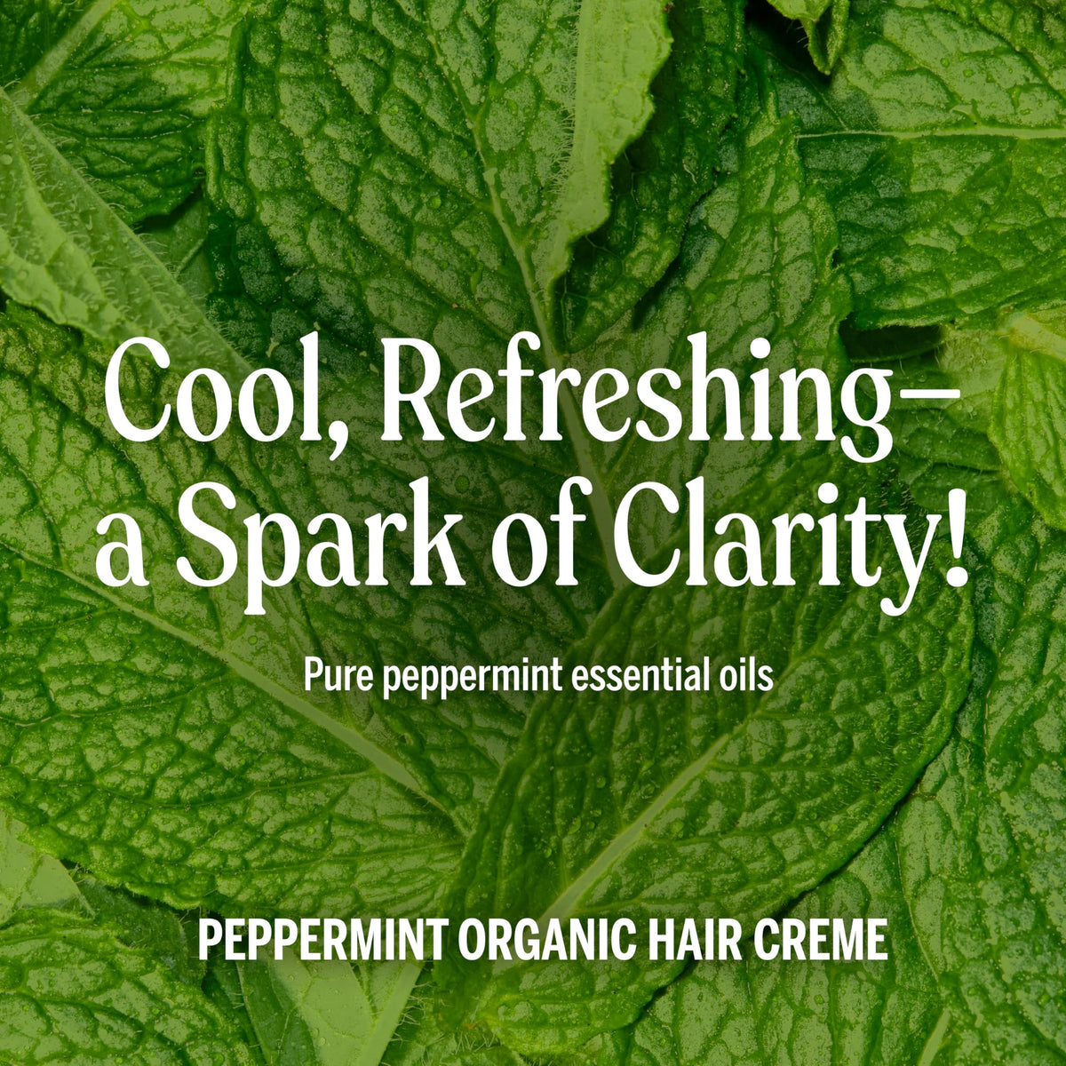 Dr. Bronner's - Organic Hair Crème (Peppermint, 6 Ounce, 2-Pack) - Leave-In Conditioner and Styling Cream, Made with Organic Oils, Hair Cream Supports Beauty & Personal Care Dr. Bronner's